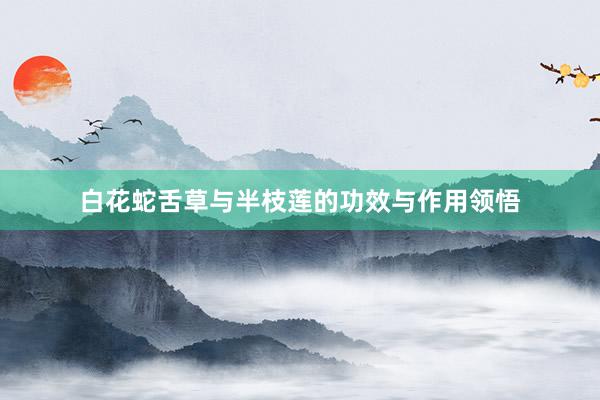 白花蛇舌草与半枝莲的功效与作用领悟