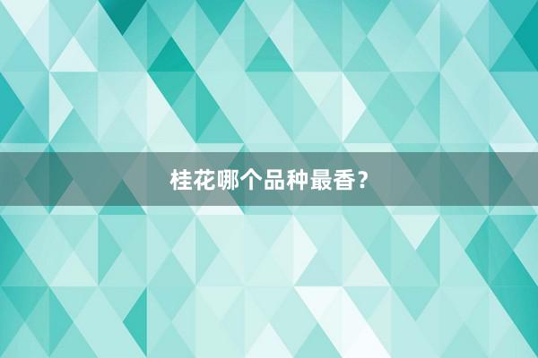 桂花哪个品种最香?