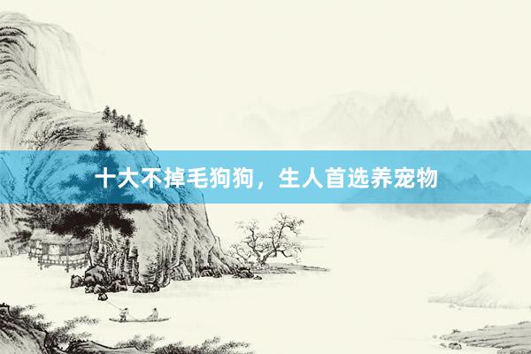 十大不掉毛狗狗，生人首选养宠物