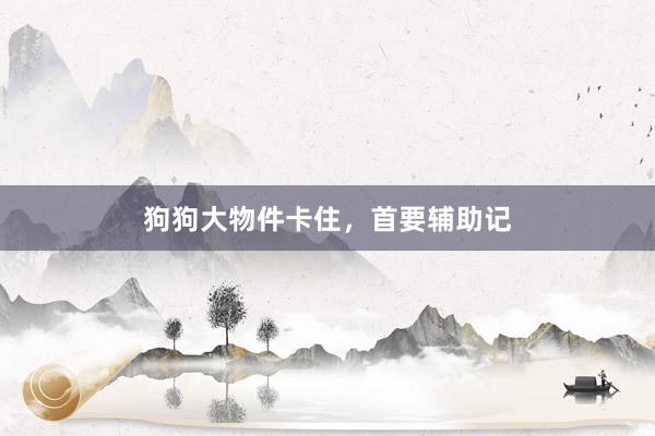 狗狗大物件卡住,首要辅助记